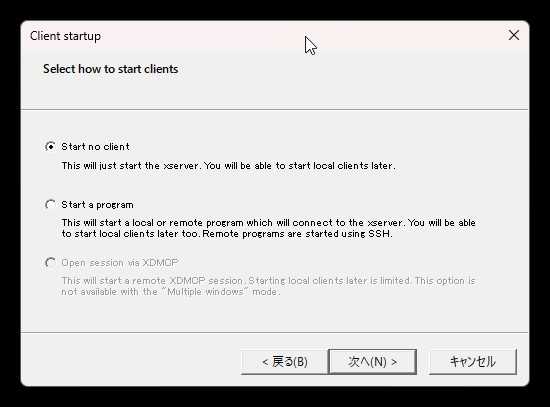XLaunch設定1